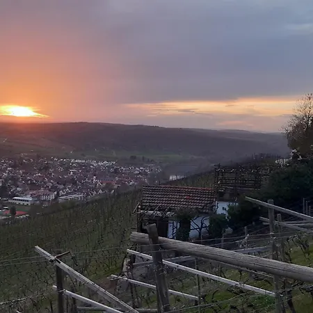 Prázdninový dům An Der Hoeh' Zellingen